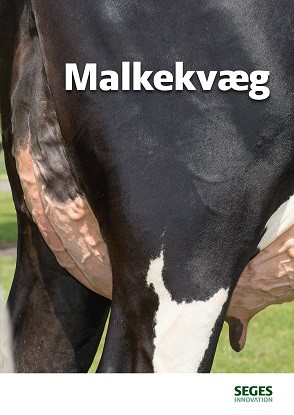 Malkekvæg